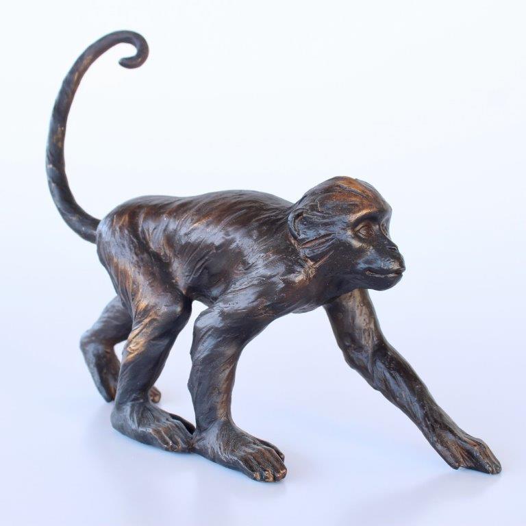 Monkey With Long Tail